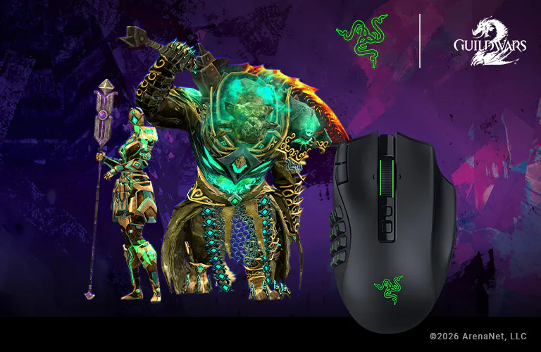 ©2026 ArenaNet, LLC