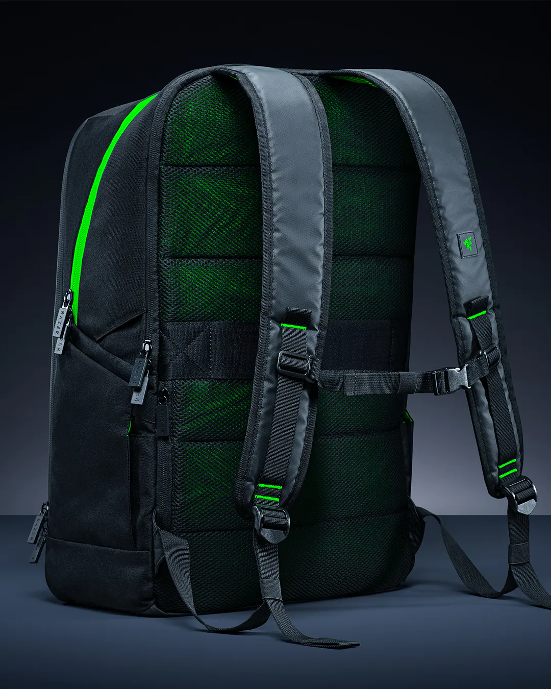 Back View of Rogue Backpack 18 - Carry System