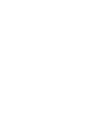 Triumph Studios logo
