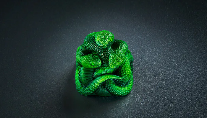 A coiled, bright green snake with detailed scales, positioned on a dark gray surface, facing forward with its head slightly raised.