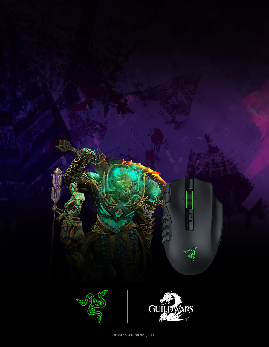 Guild Wars 2 © 2026 ArenaNet, LLC