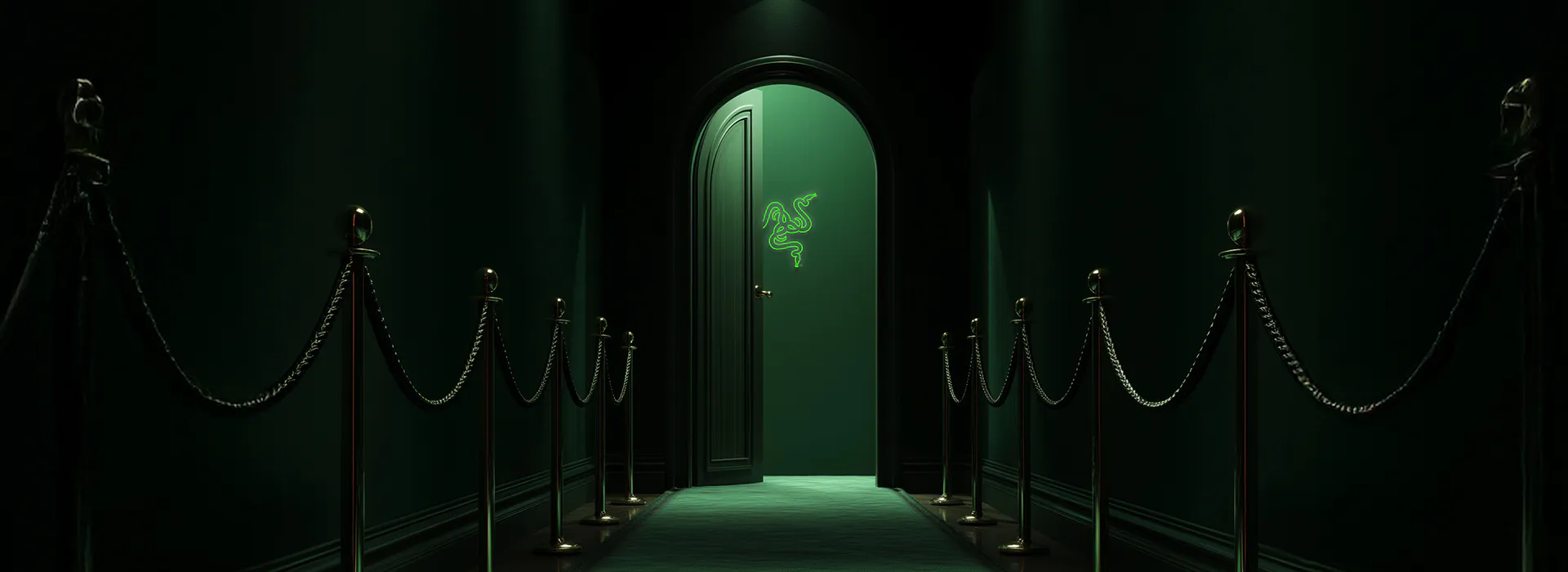 RAZERSTORE BLACK FRIDAY VIP EVENT