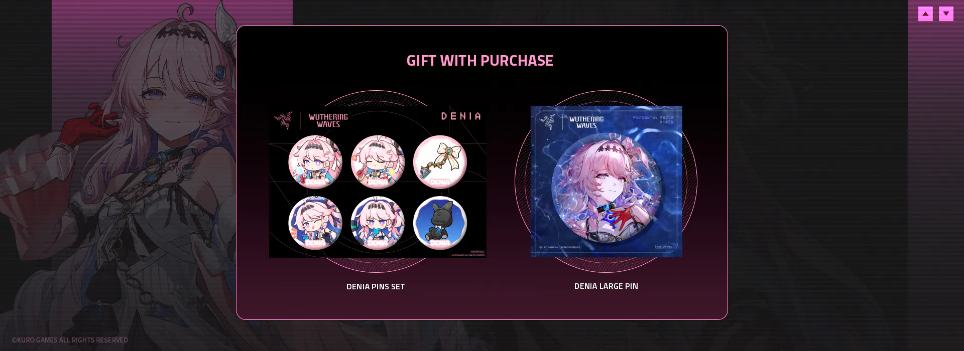 Gift with Purchase: Denia Pins Set and Denia Large Pin