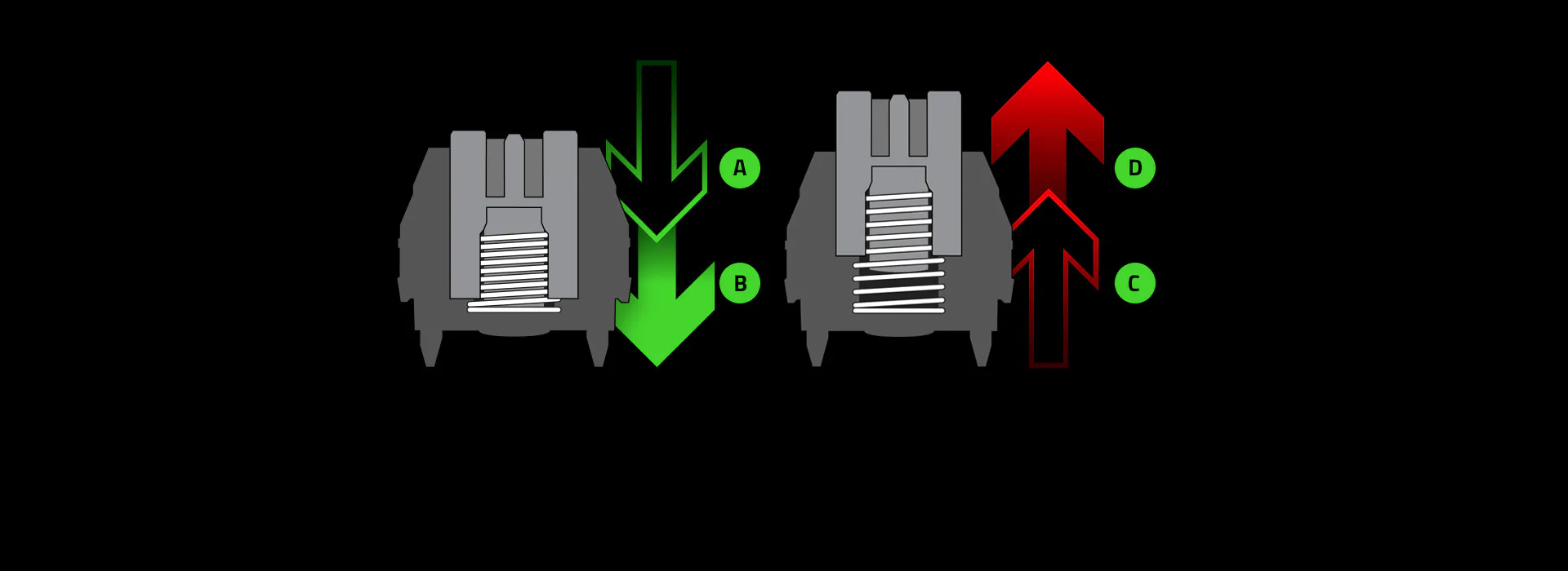 Diagram of a keycap with parts labelled A, B, C and D