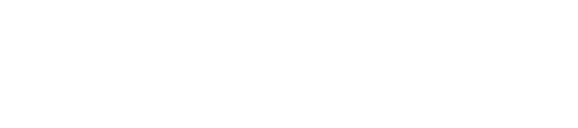 Nexon Logo